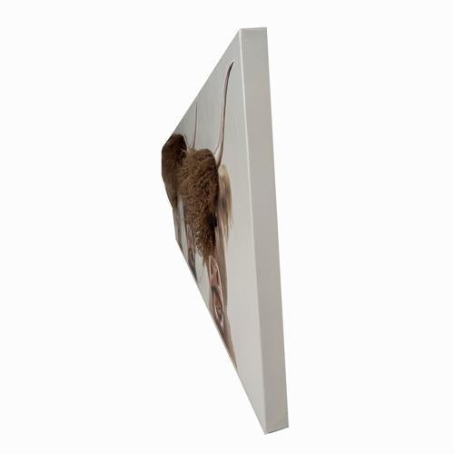 Bad Hair Day 3 Highland Cows Canvas Wall Art 3D Faux Hair 500x1500