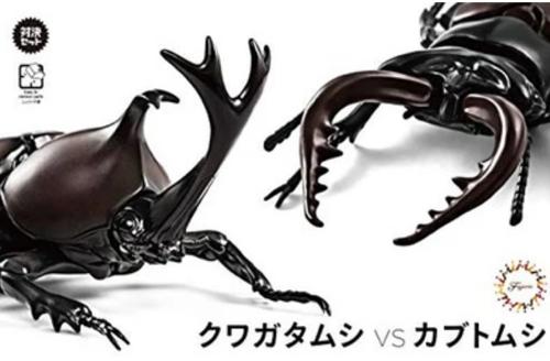 Plastic Kitsets - Fujimi - Biology Edition Stag Beetle