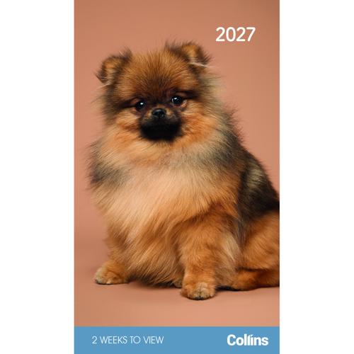 2027 Cats and Kittens Pocket Diary Collins Rosebank 2 Week View Set of 4