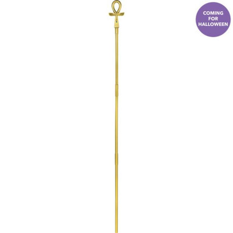 Colorful 10cm x 157cm Egyptian Staff balloon, perfect for themed parties and cultural events, adds elegance to celebrations.