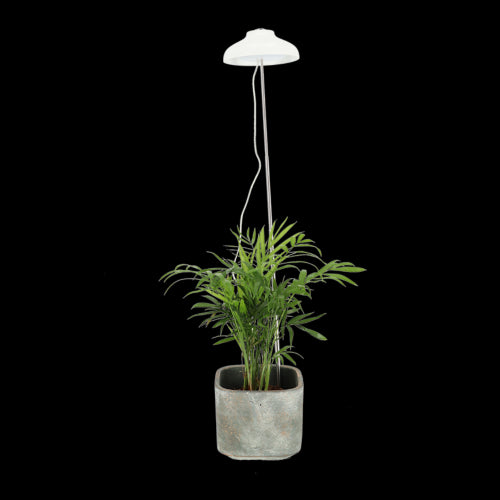 Plant Grow Lamp - White USB (74cm)