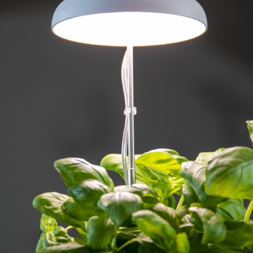Plant Grow Lamp - White USB (74cm)
