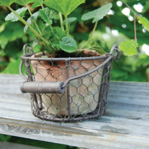 AT Pot in Wire Basket w/ Handle (Set of 2)