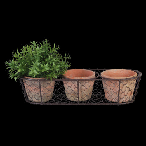 AT 3 Pots in Wire Basket (37 x 13 x 10cm)