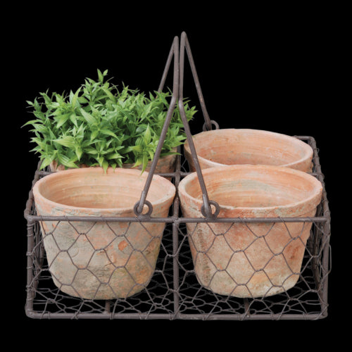 AT 4 Pots in Wire Basket w/ Handle (23 x 24 x 10cm)