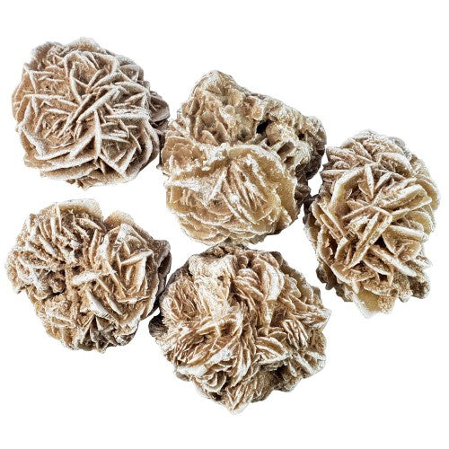 White Desert Rose Large 400gm