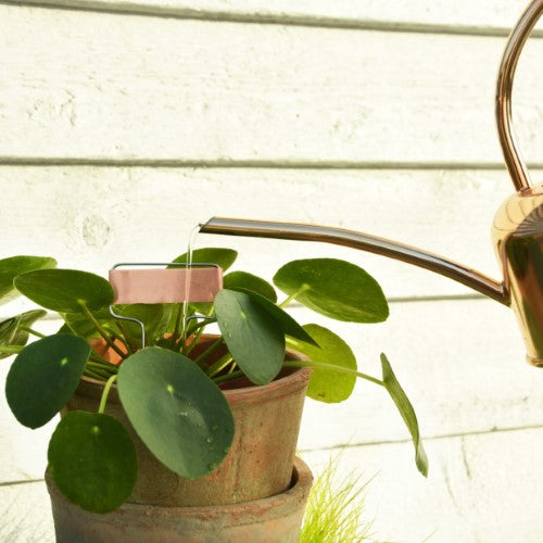 Copper Plant Labels (Set of 6)