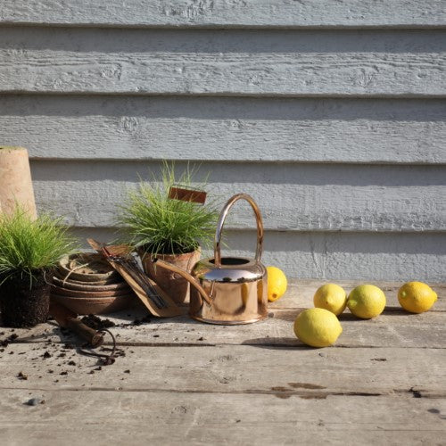 Copper Plant Labels (Set of 6)