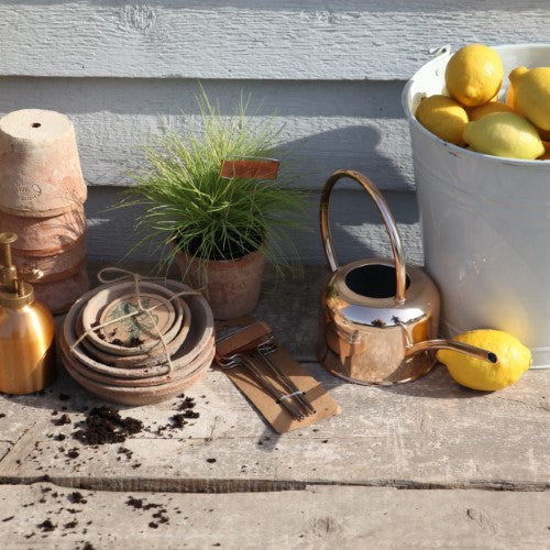 Copper Plant Labels (Set of 6)