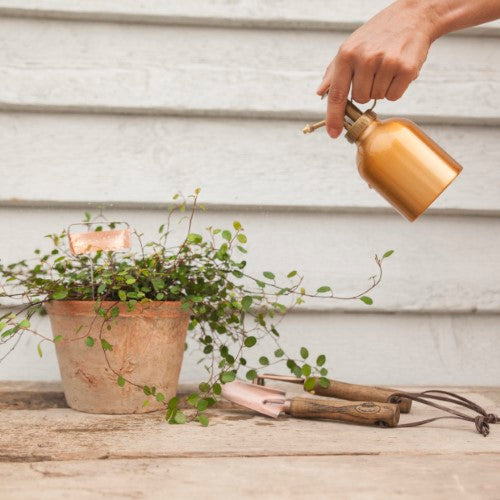 Copper Plant Labels (Set of 6)