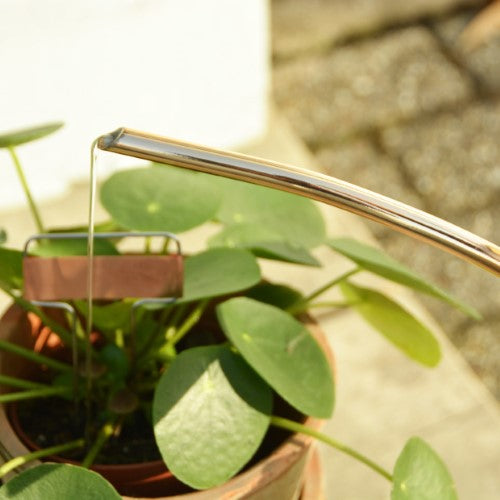 Copper Plant Labels (Set of 6)