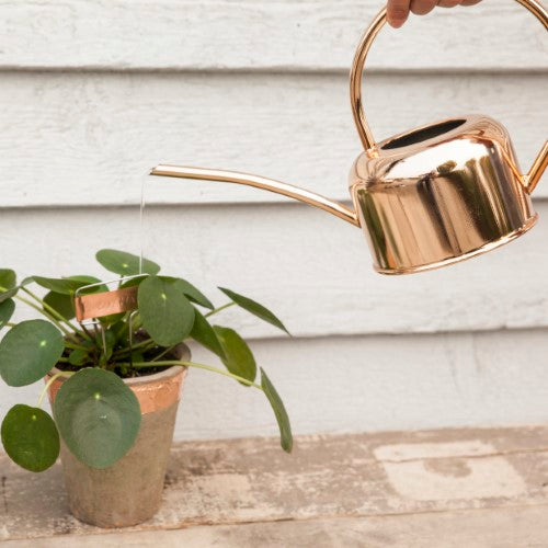 Copper Plant Labels (Set of 6)