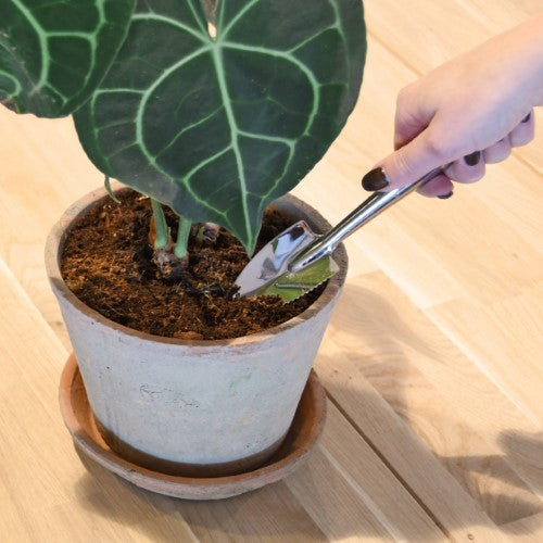 Indoor Garden Shovel - 22cm (Set of 3)