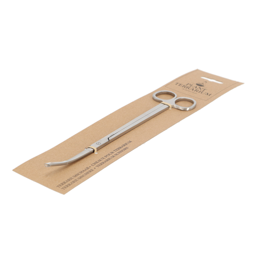 Terrarium Scissors - 25cm (Set of 3)