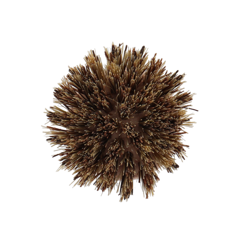 Pot Brush