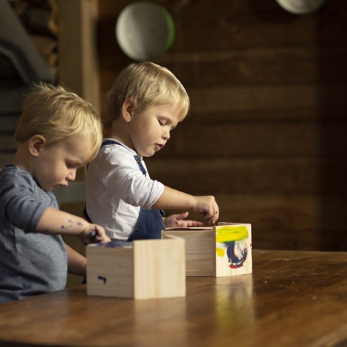 DIY Nesting Box W/Paint (14 x 11 x 20cm)