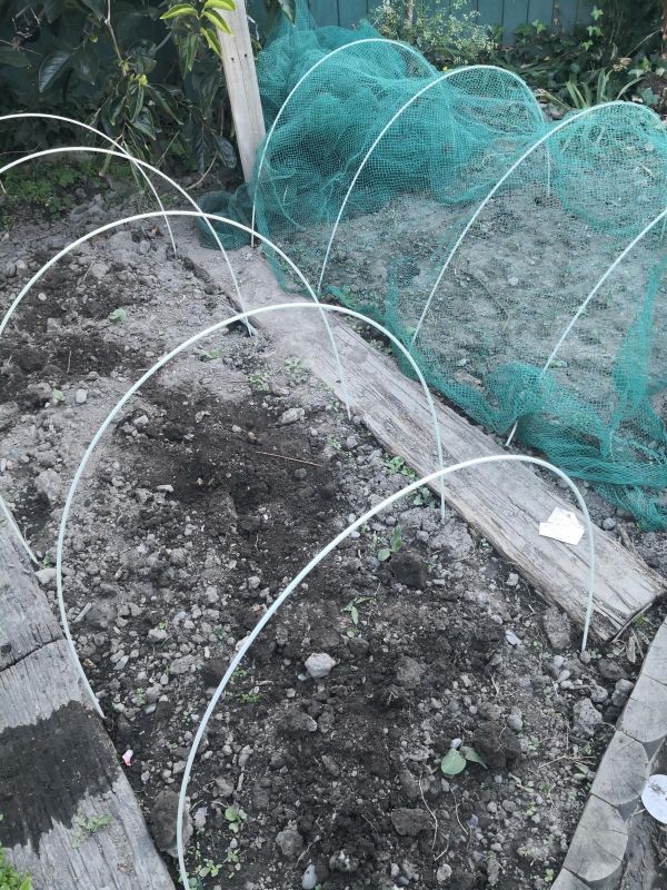 2m Long Coated Fibreglass Rod