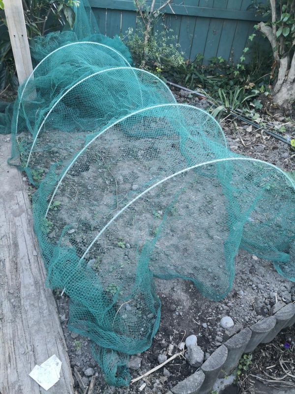 2m Long Coated Fibreglass Rod