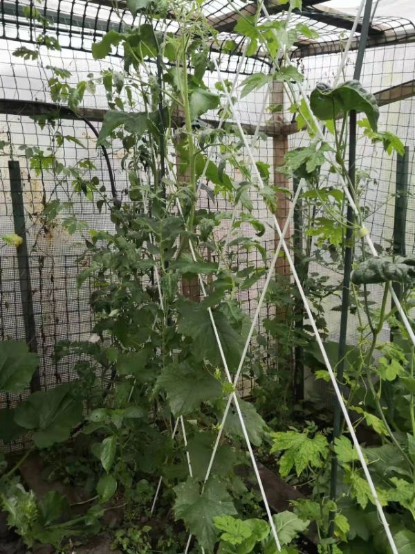 2m Long Coated Fibreglass Rod