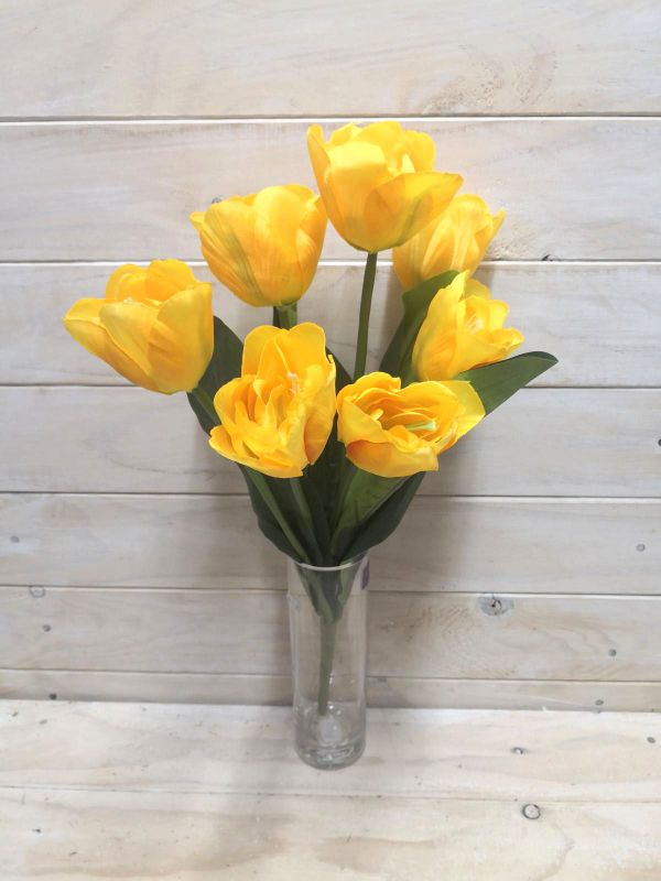 Tulip - Large Tulip Bush Yellow