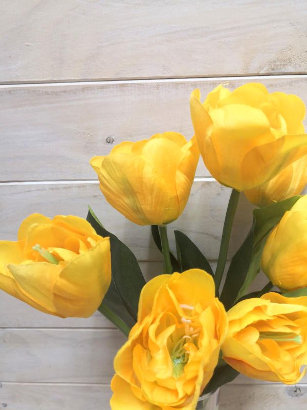 Tulip - Large Tulip Bush Yellow