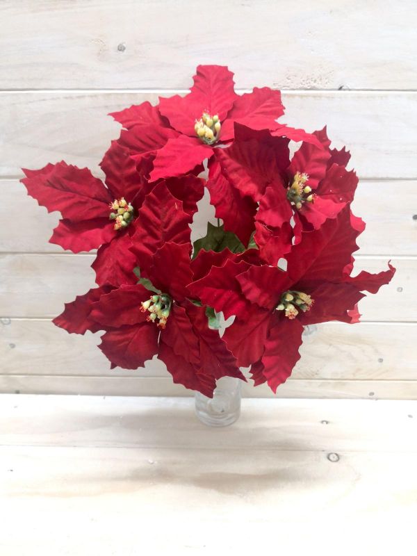 Flower- Large Holly Petal Velvet Poinsettia Bush Red