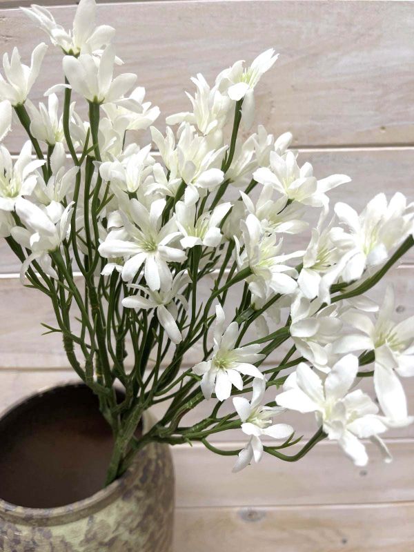 Star Flower - Star Flower Bundle