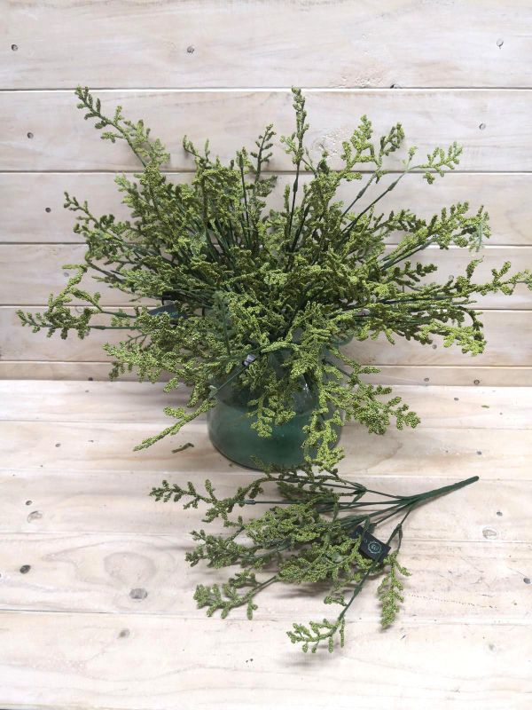 Gypsophila - Green Limonium Bush