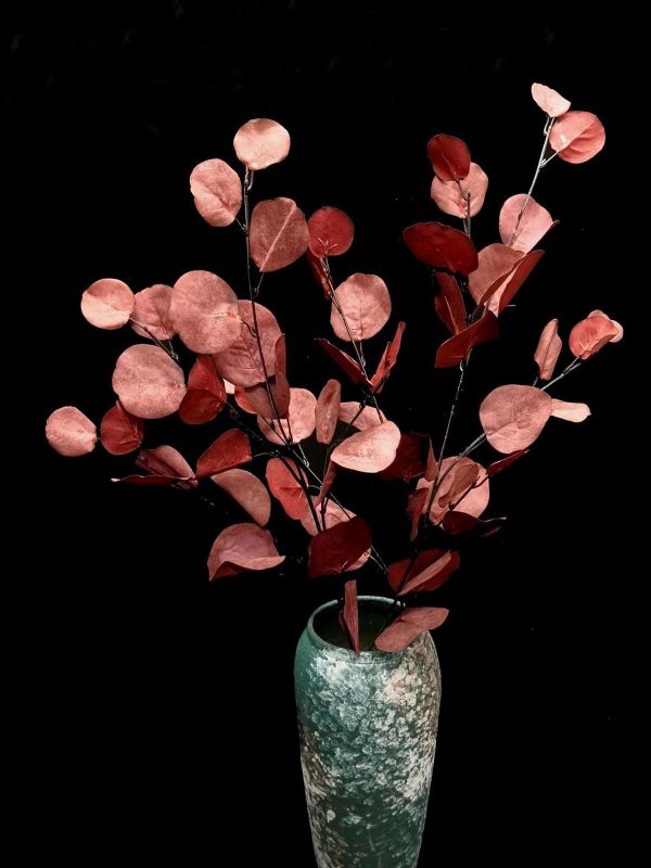Eucalyptus - Round Eucalyptus Spray Vintage Green