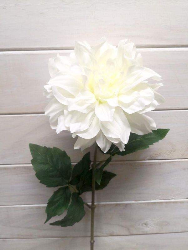 Dahlia - Shiloh Noelle Dahlia Stem Pink