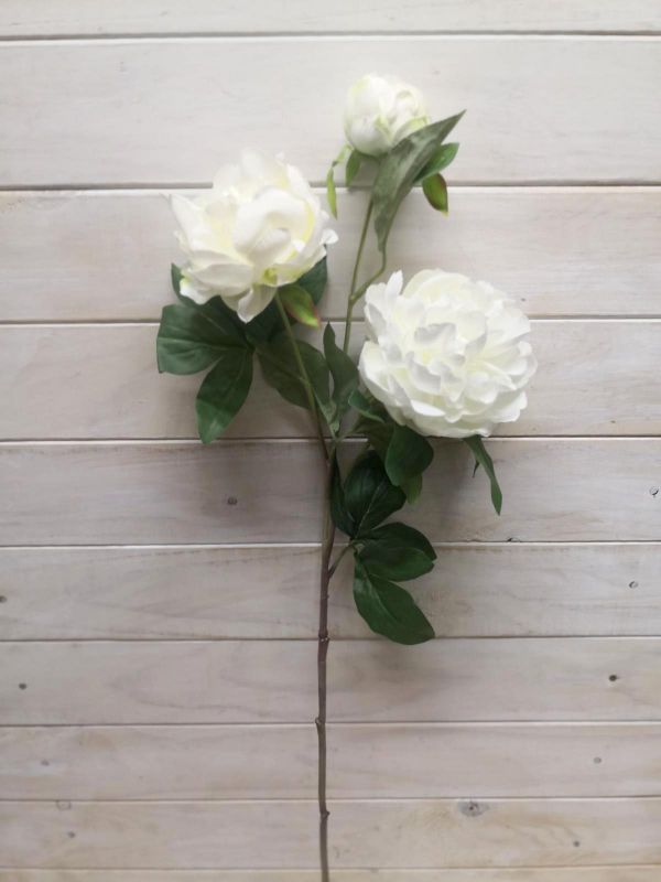 Peony - White Peony Spray with 2 Flrs & Bud