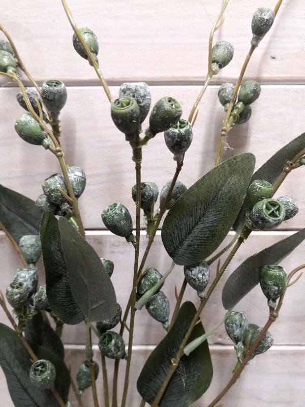 Berry - Eucalyptus Nut Bundle x 3 Green