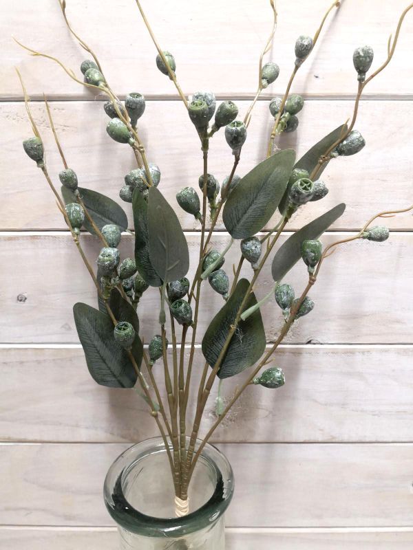 Berry - Eucalyptus Nut Bundle x 3 Green