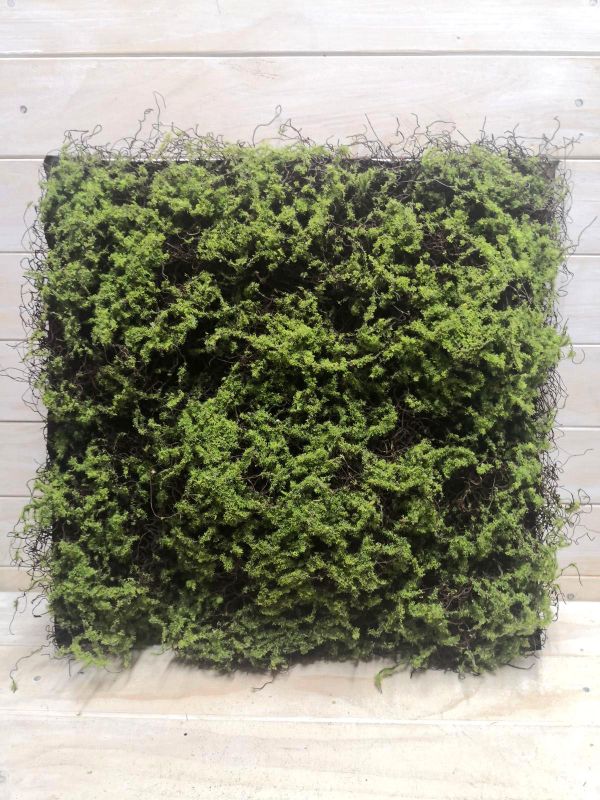Mat - 50 x 50cmThick Twig Moss Mat
