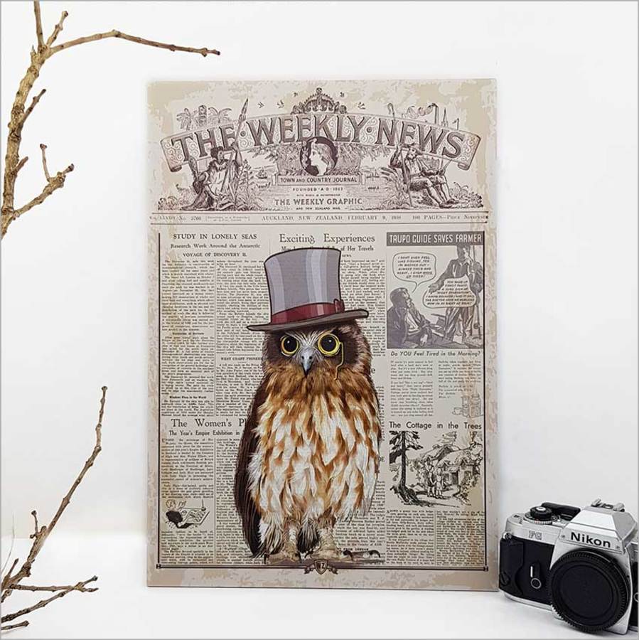 Kiwiana Wall Art - Rectangle Large: Vintage Ruru Morepork