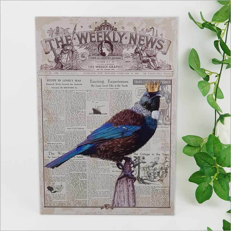Kiwiana Wall Art - Rectangle Large: Vintage Tui - Printed Circle | Rectangle