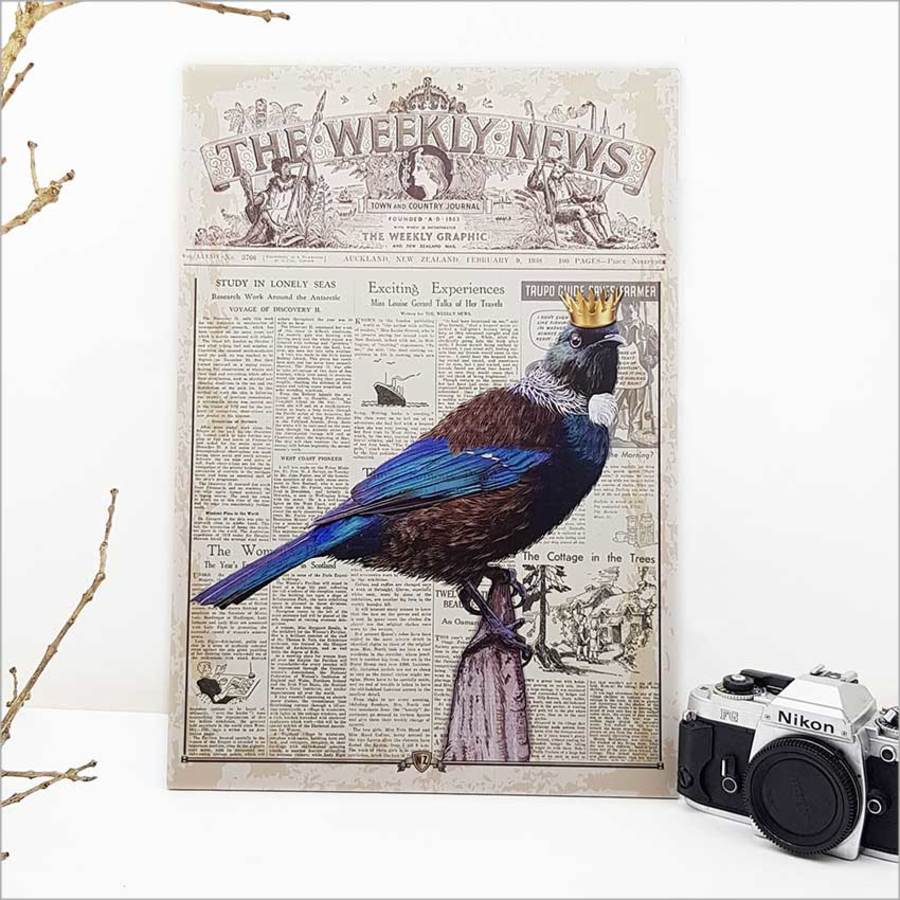 Kiwiana Wall Art - Rectangle Large: Vintage Tui - Printed Circle | Rectangle
