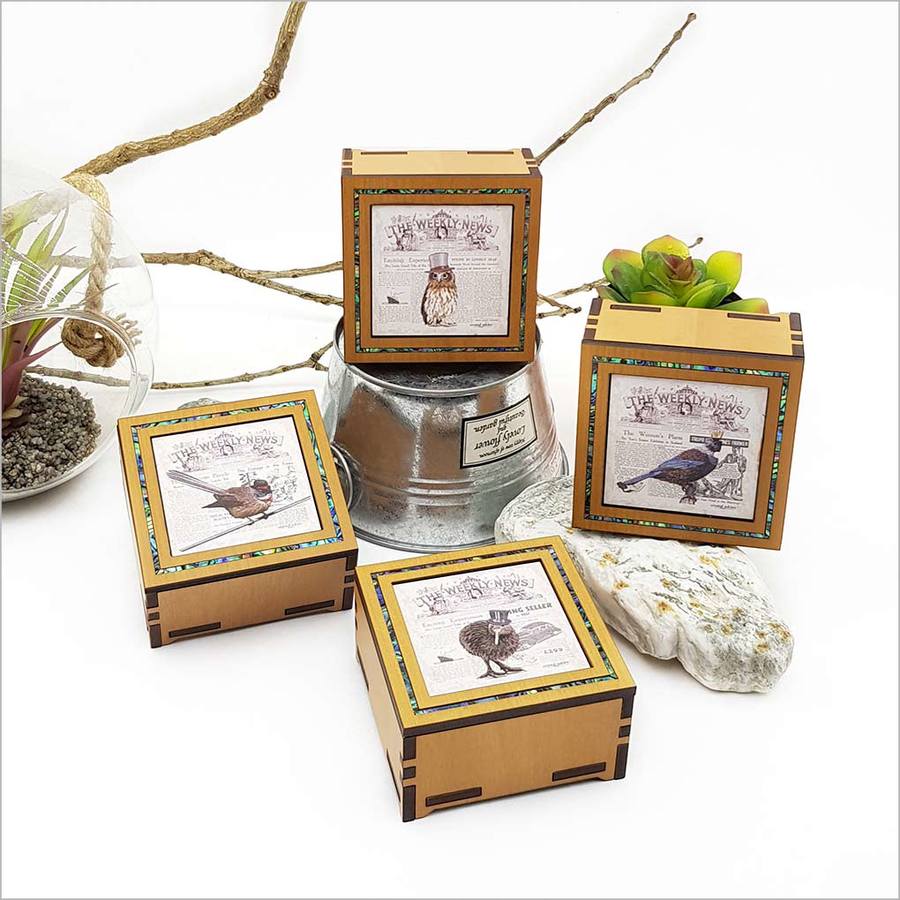 Small Trinket Box: Vintage Fantail