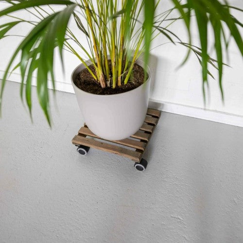 Indoor Plant Trolley - Square Brown (Set of 2)