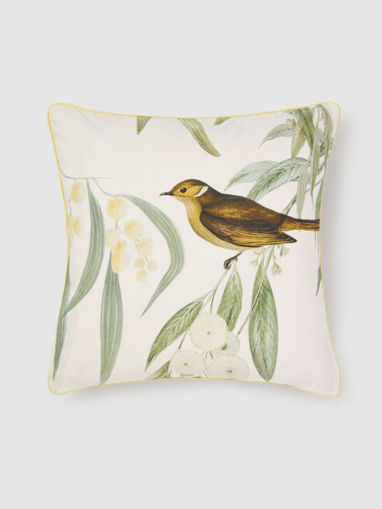 Eppalock Cushion by Savona