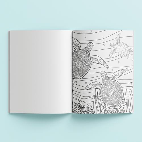 Zen Colour Oceanic