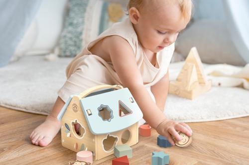 House Shape Sorter w/8 blocks