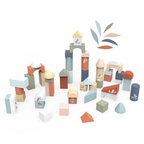 Building Blocks (50pcs) with shape sorter
