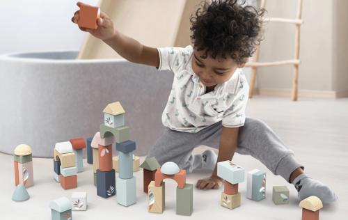Building Blocks (50pcs) with shape sorter