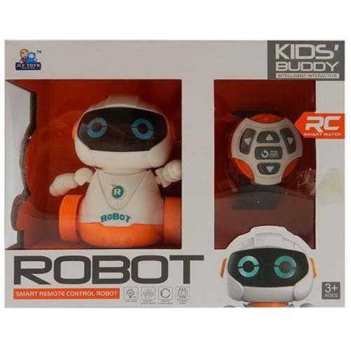 Robot Remote Controlled (Buddy)