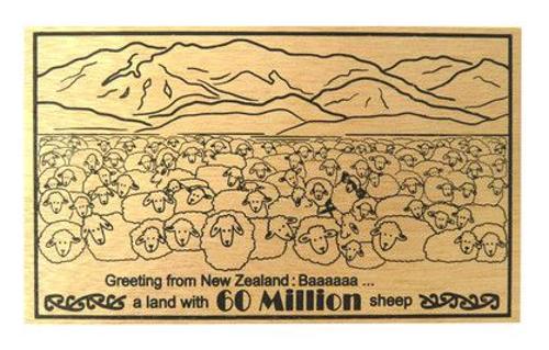 Postcard Wooden 60 Million Sheep