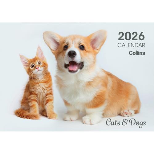 Collins Wall Calendar A4 Cats & Kittens 2026 - Smartfox