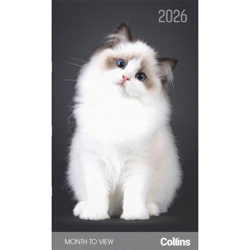 Collins Diary Slim Cats & Kittens Month to View 2026 - Smartfox