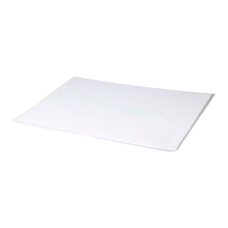 Lavis Dessin Technical Drawing Paper, 50x65cm, pack of 10, smooth 200gsm acid-free sheets for precise drawings.