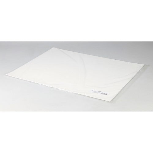 Pack of 10 Fontaine Glazed Paper sheets, 56x76cm, 300g with elegant deckle edges, ideal for watercolor and mixed media art.